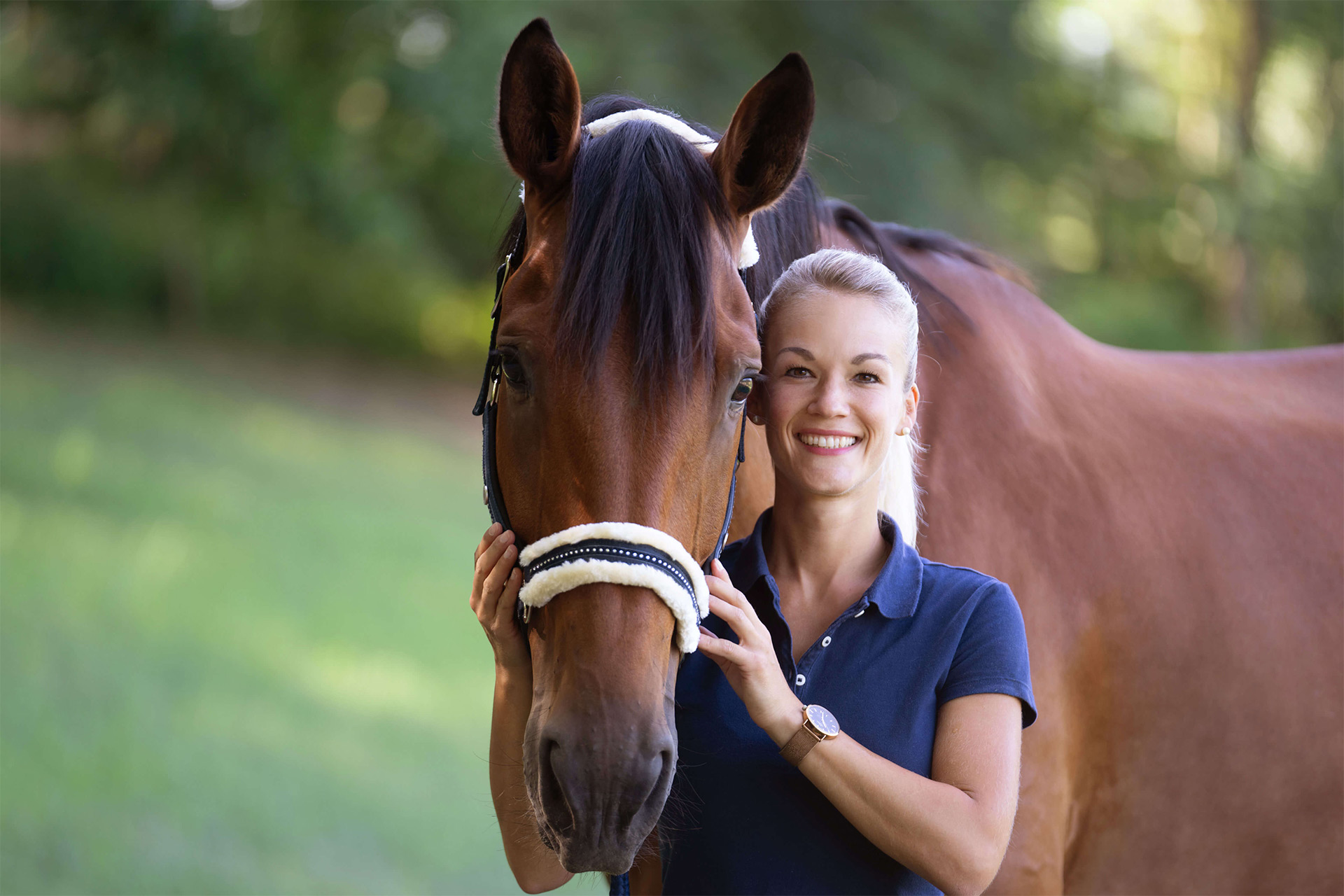 Kontaktieren Sie Tierärztin Dr. Nicole Schäfer bei Interesse an Laserakupunktur und Lasertherapie für Pferde.